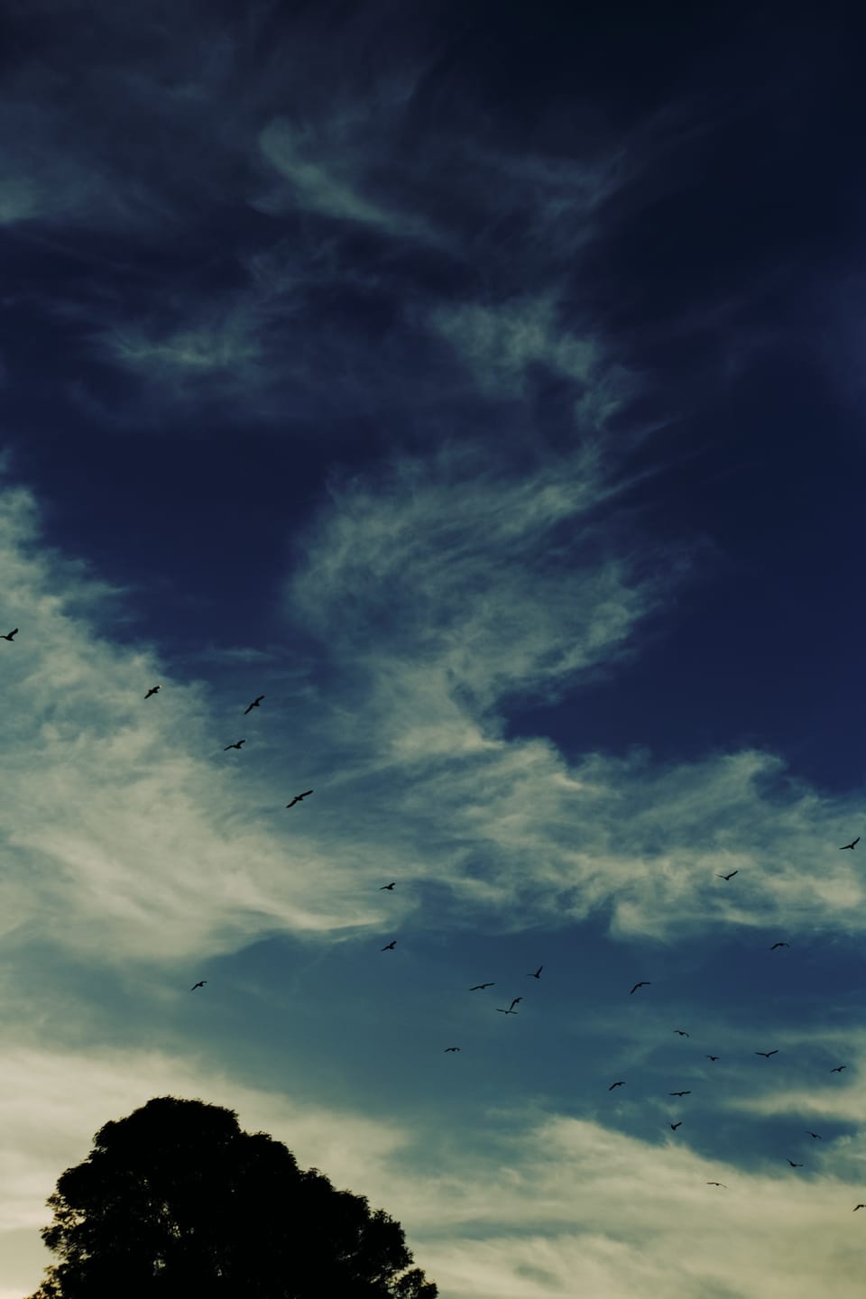 picture a day: may 5