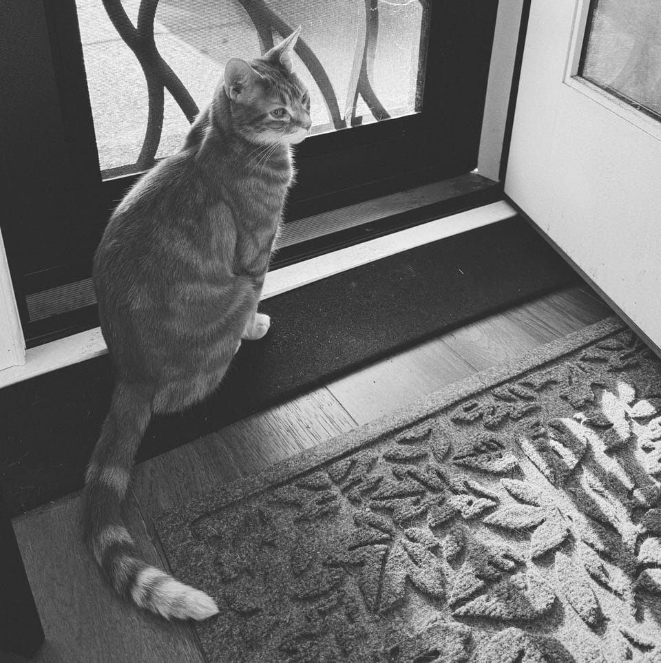picture a day: may 7