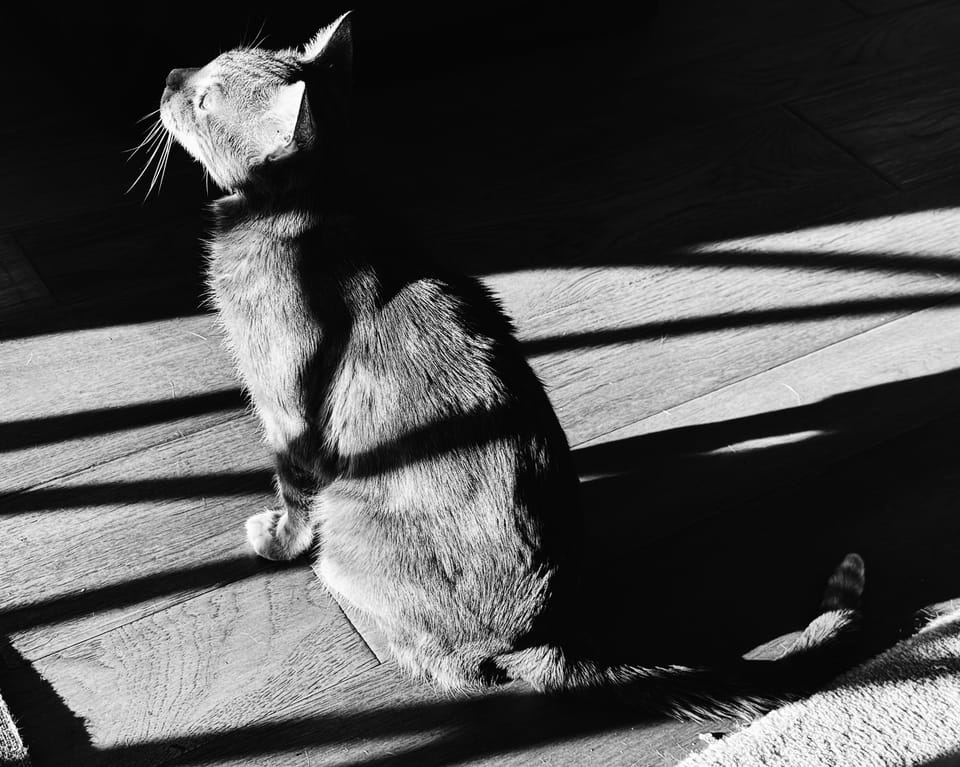 picture a day: may 9