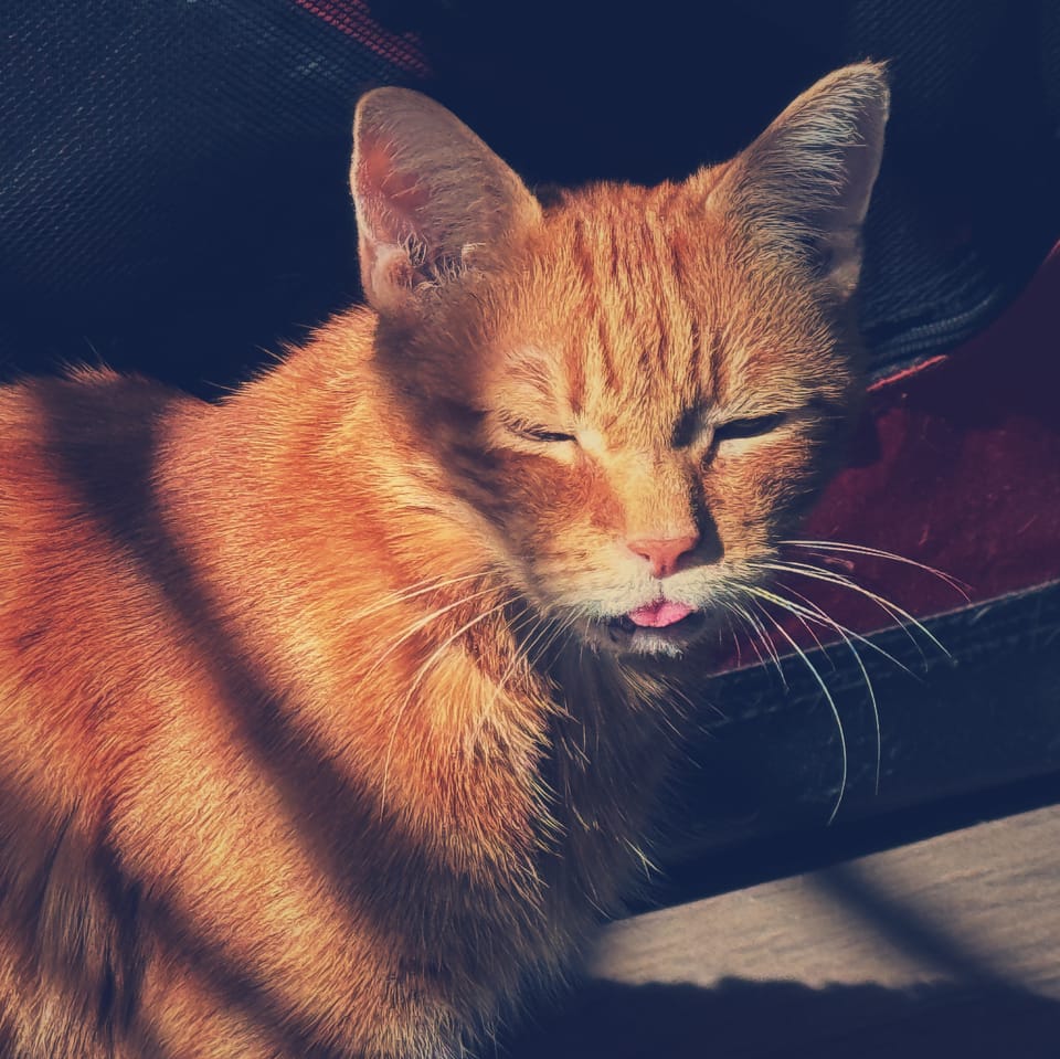 picture a day: may 12