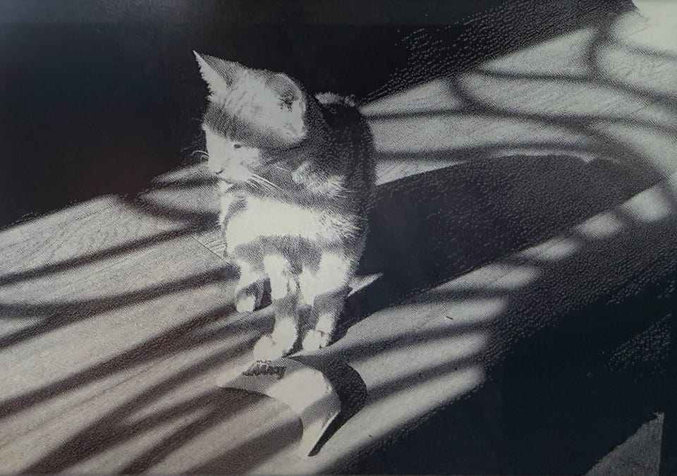 picture a day: may 15