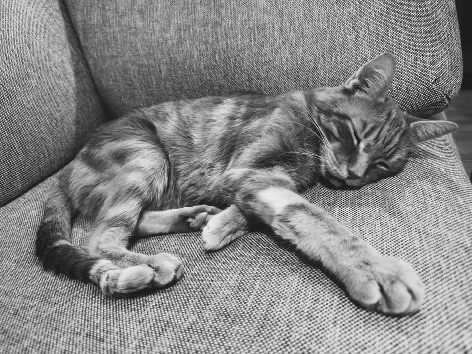 picture a day: may 17