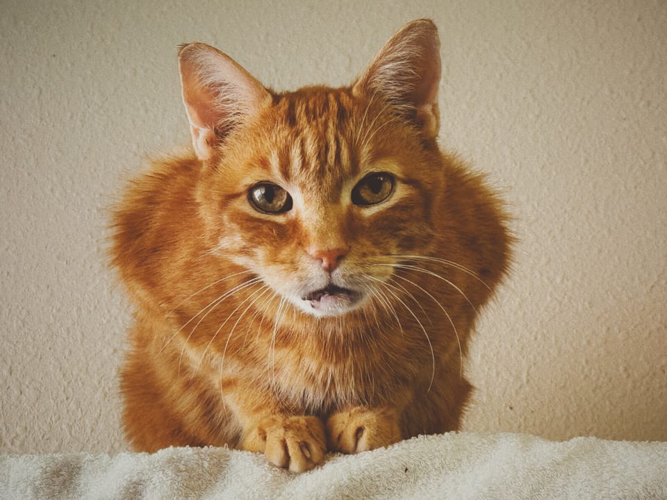 picture a day: may 19