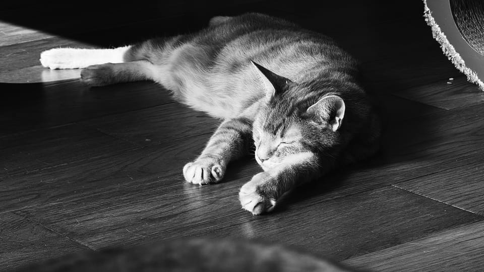 picture a day: may 21
