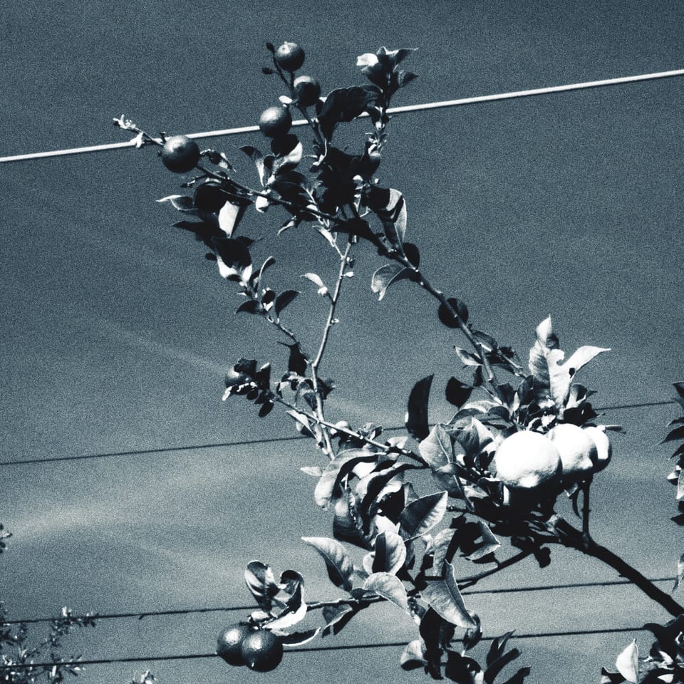 picture a day: may 26