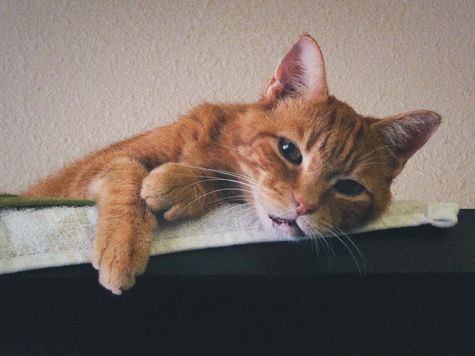 picture a day: may 30