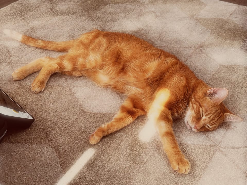picture a day: may 31