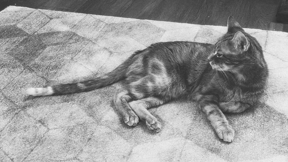 picture a day: jun 3