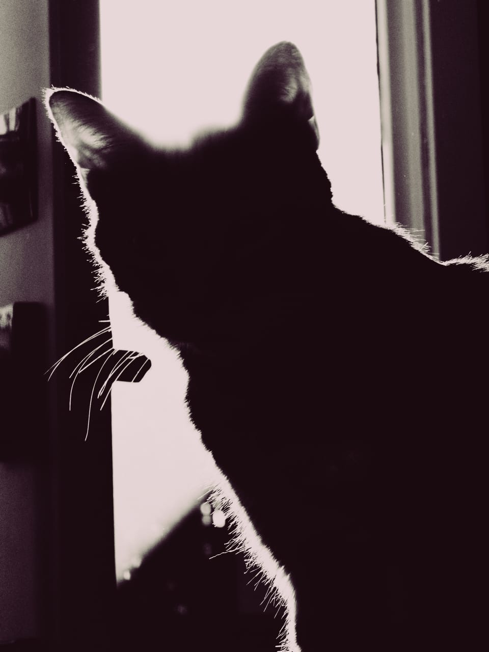 picture a day: jun 15