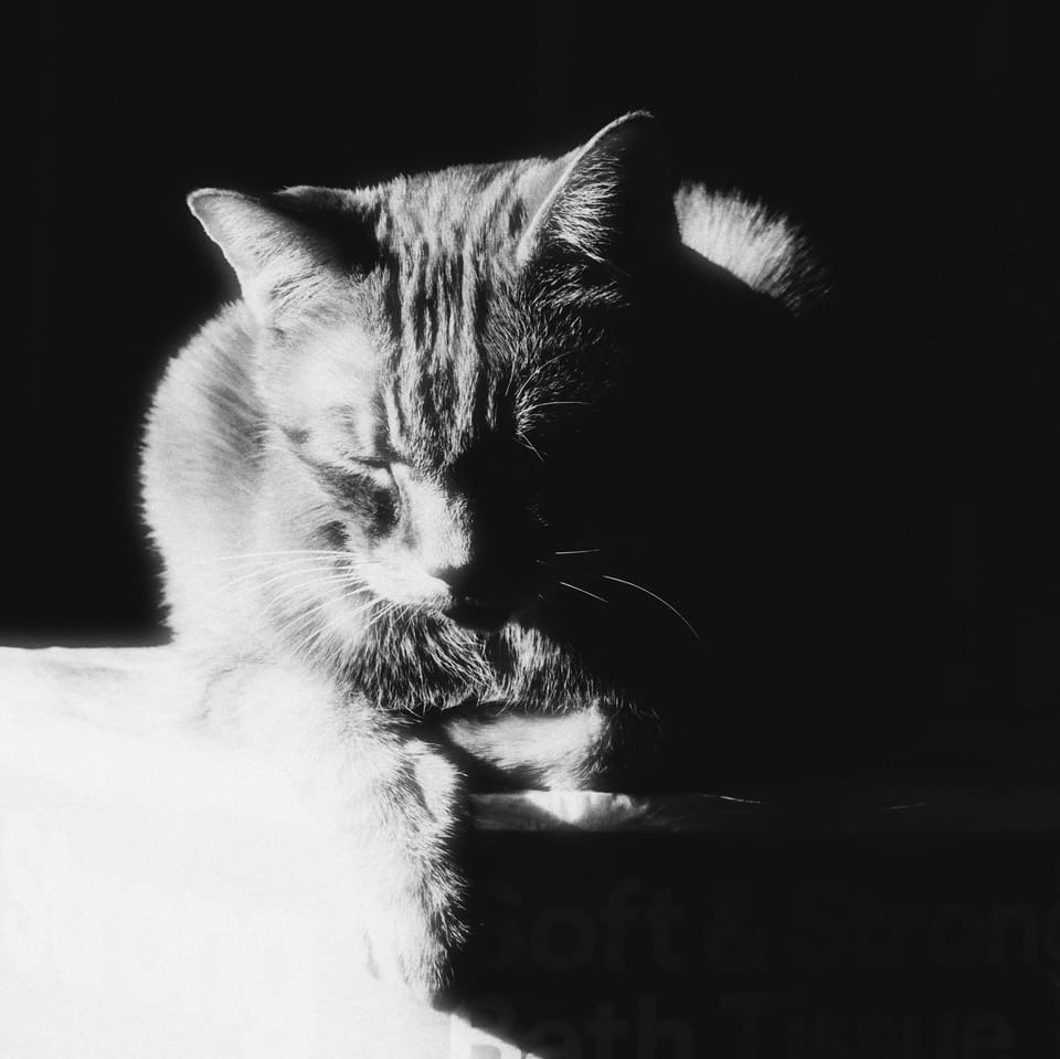 picture a day: jun 18