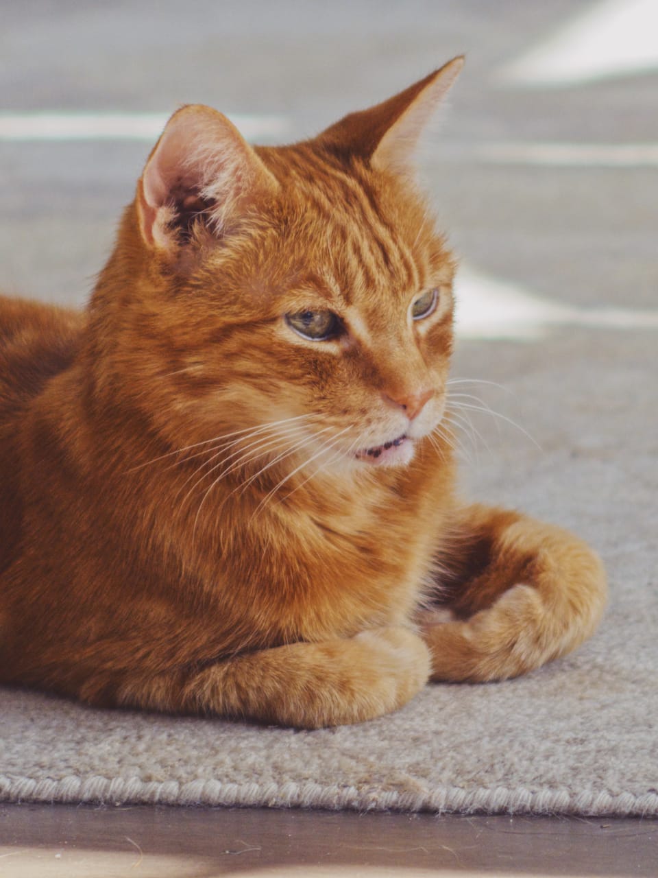 picture a day: jun 21