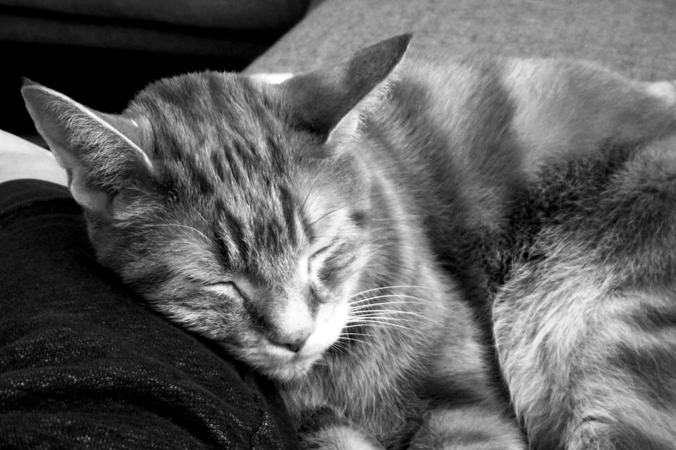 picture a day: jun 22