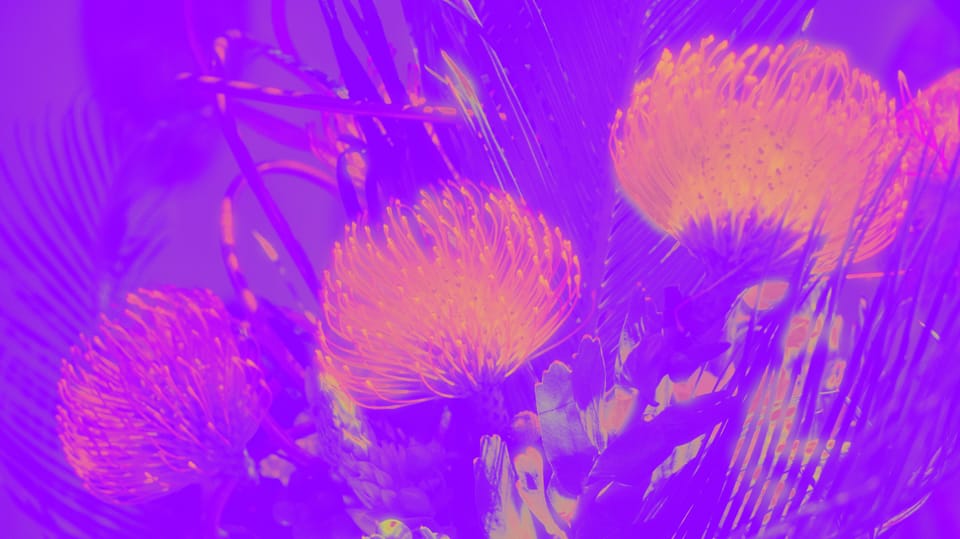 picture a day: jun 24