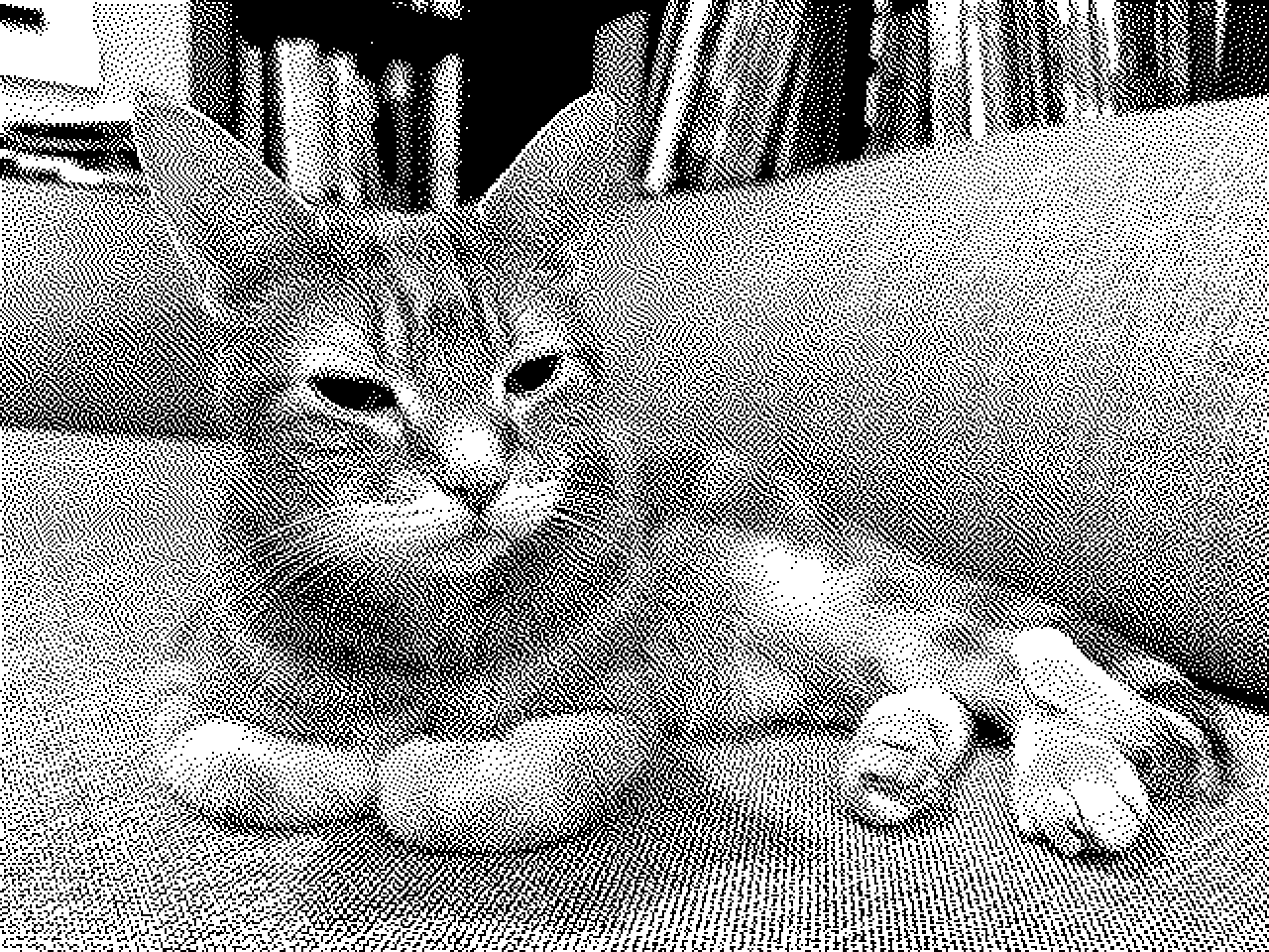 picture a day: jun 11
