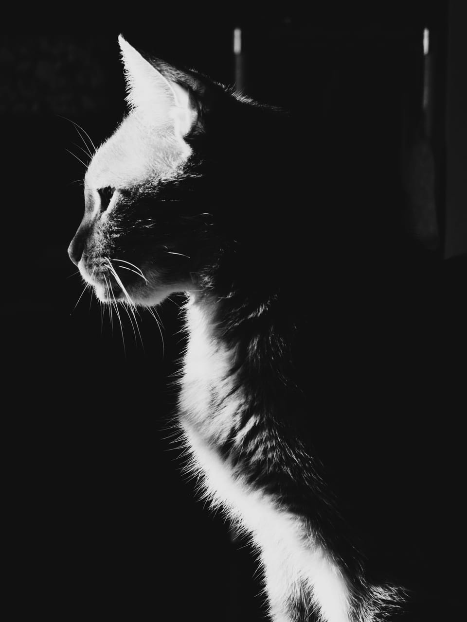 picture a day: jun 12