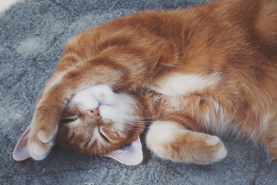 picture a day: jun 26