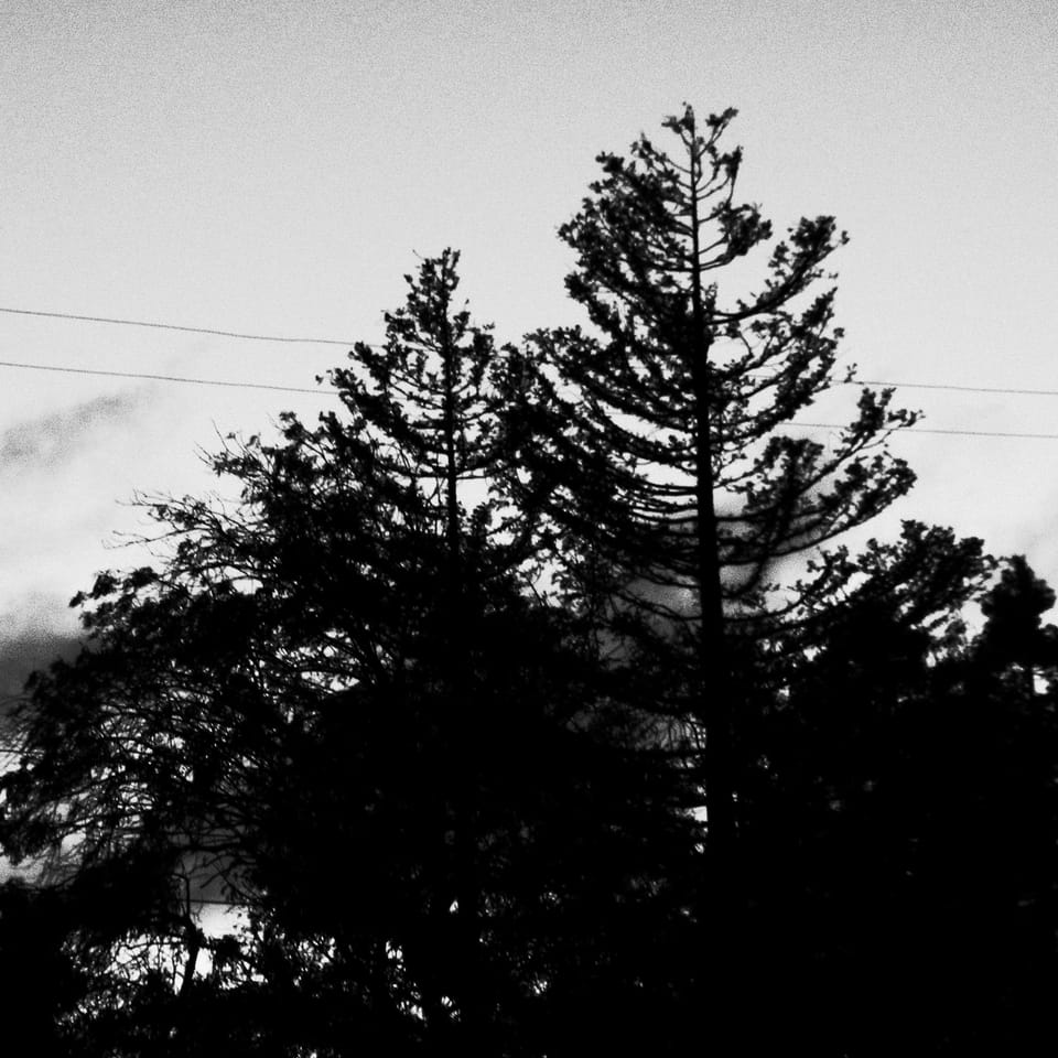 picture a day: jul 8