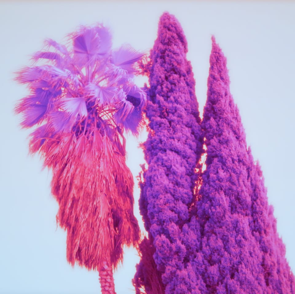 picture a day: jun 30