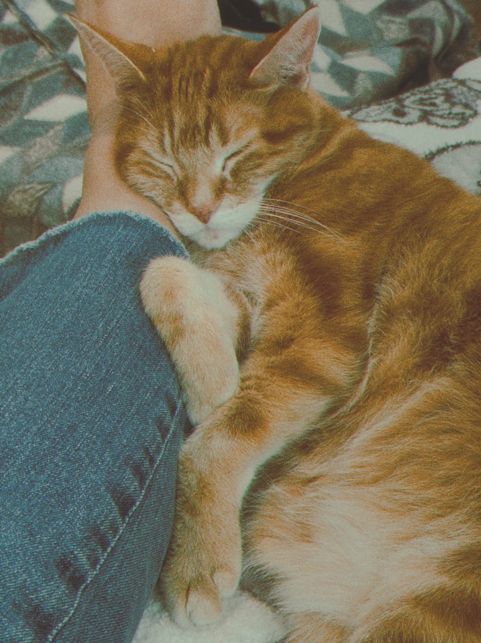 picture a day: jul 10
