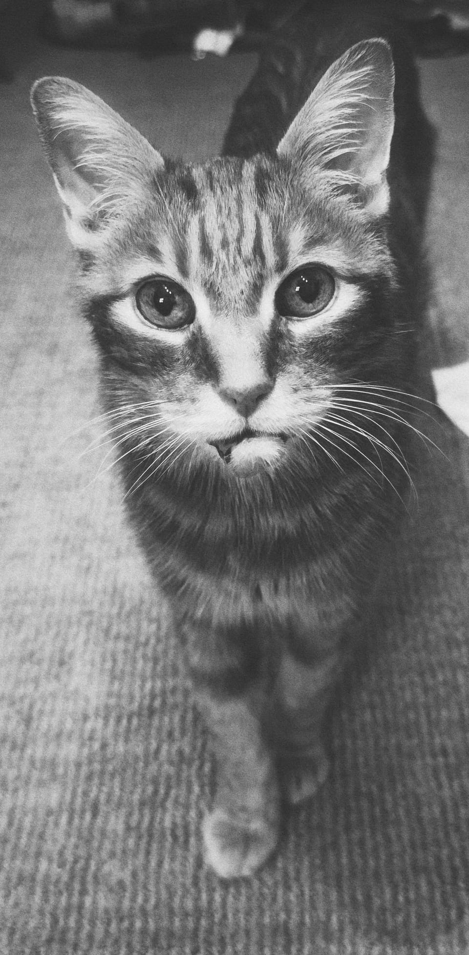 picture a day: aug 3