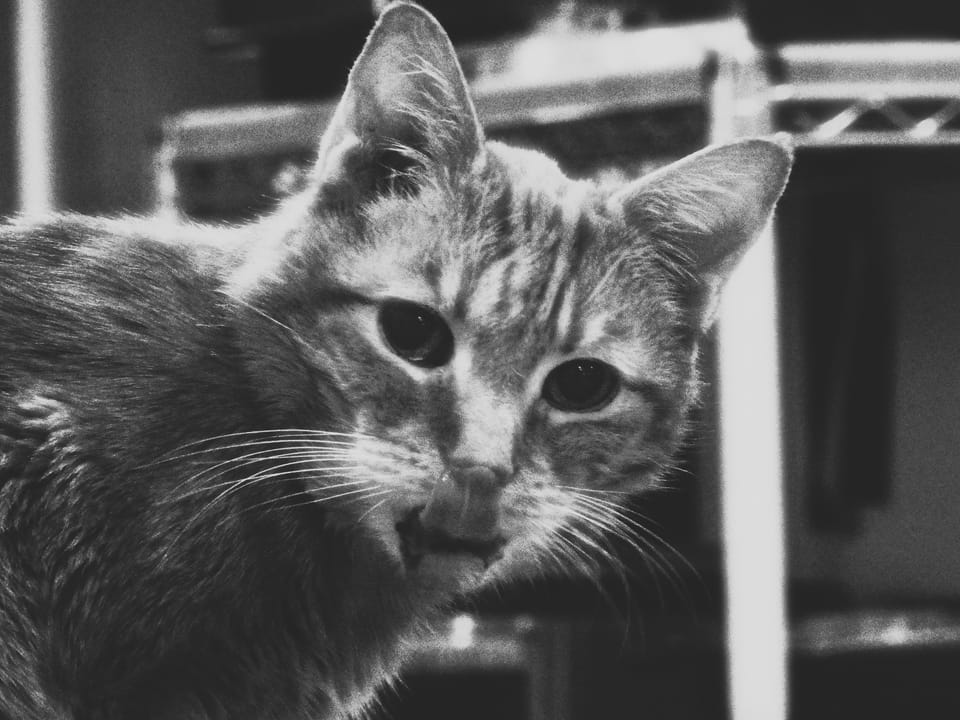 picture a day: aug 2