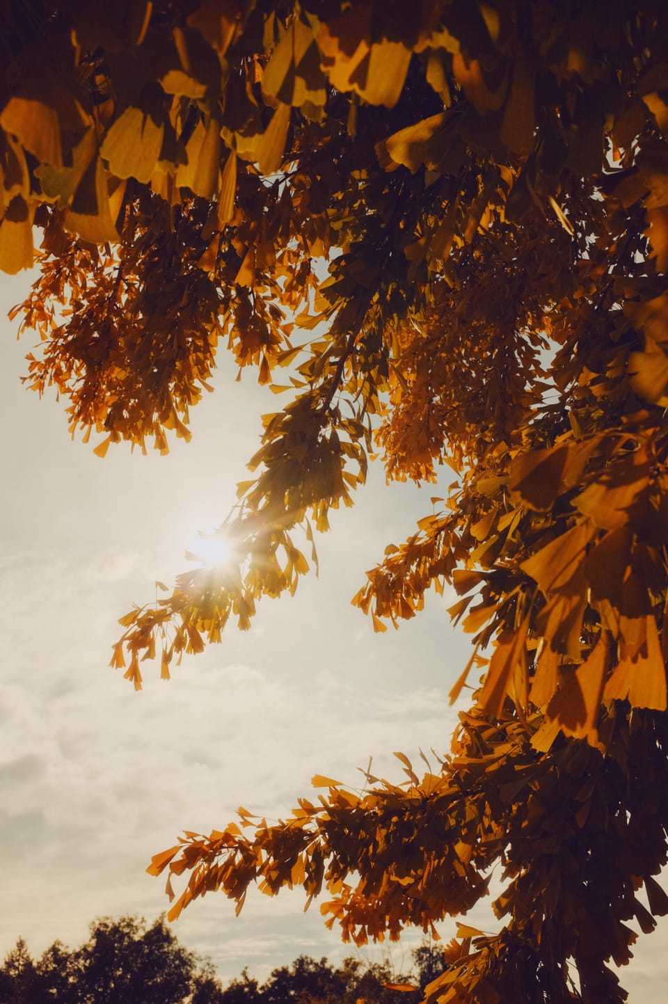 picture a day: sep 29