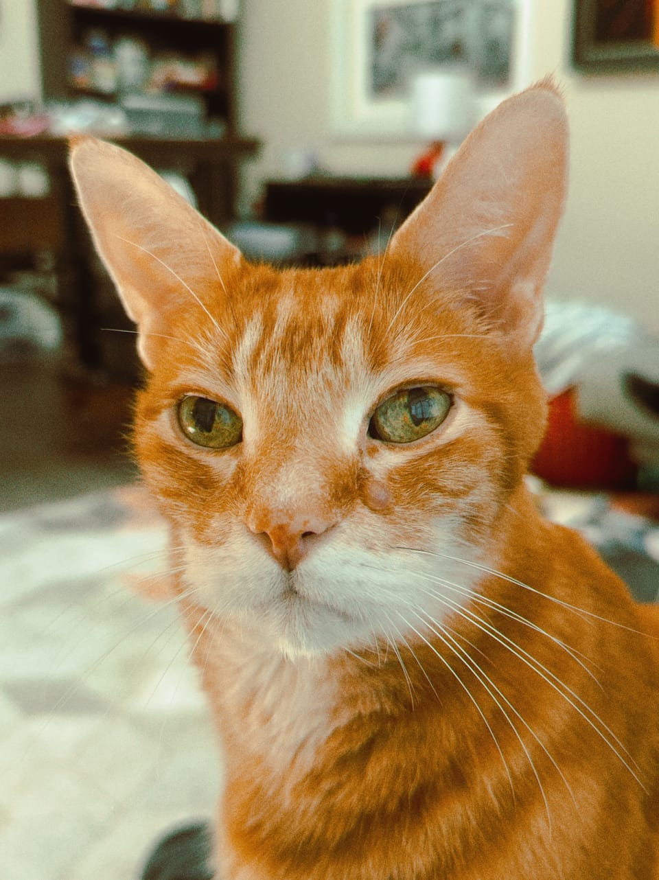 picture a day: sep 21
