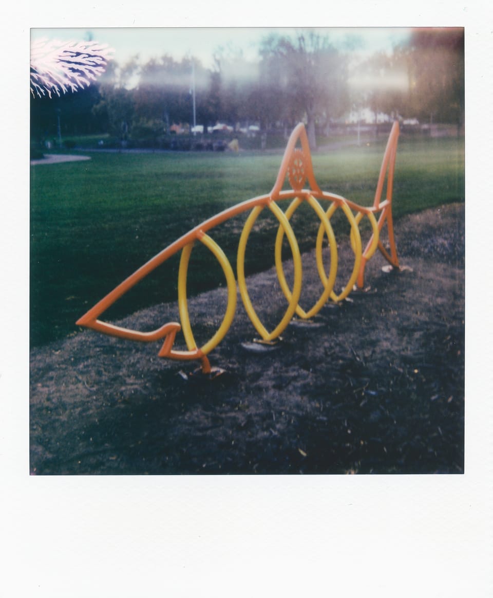 picture(s) a day: oct 24