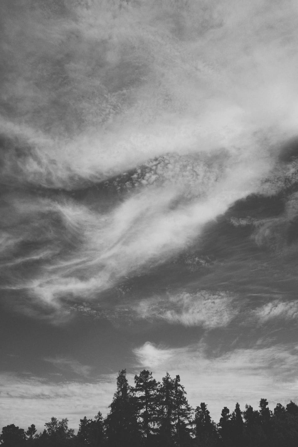 picture a day: oct 2