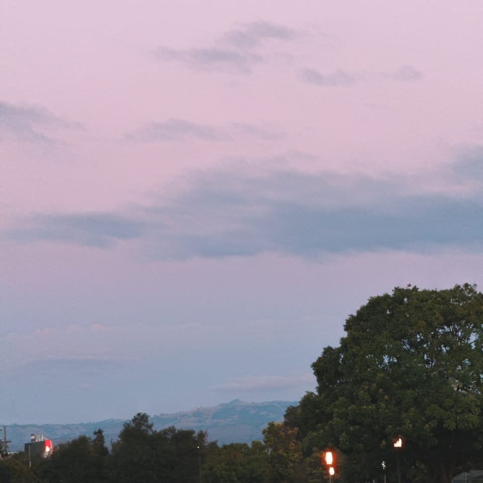 picture a day: oct 8