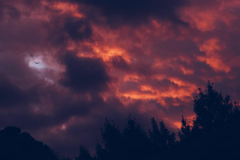 picture a day: oct 15