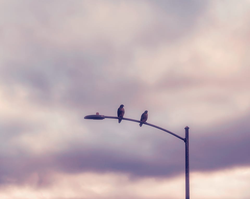 picture a day: oct 16