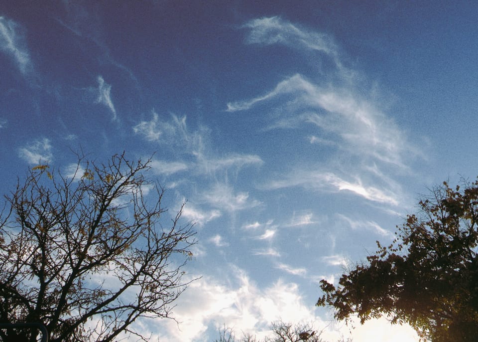 picture a day: oct 25