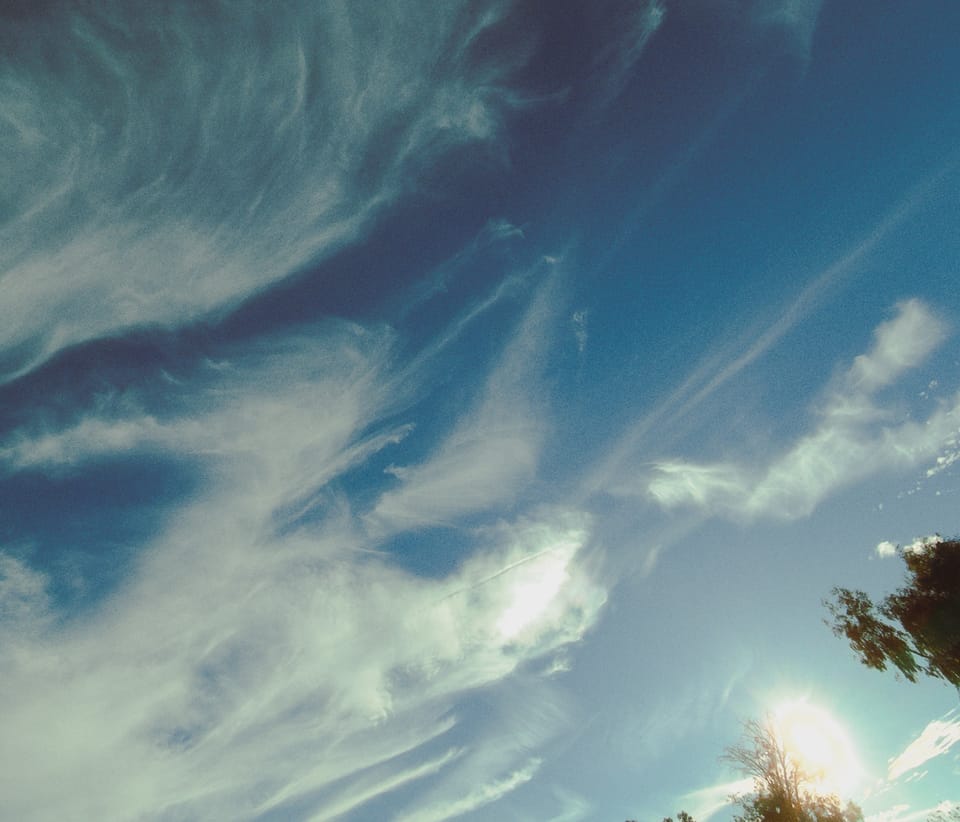 picture a day: nov 4