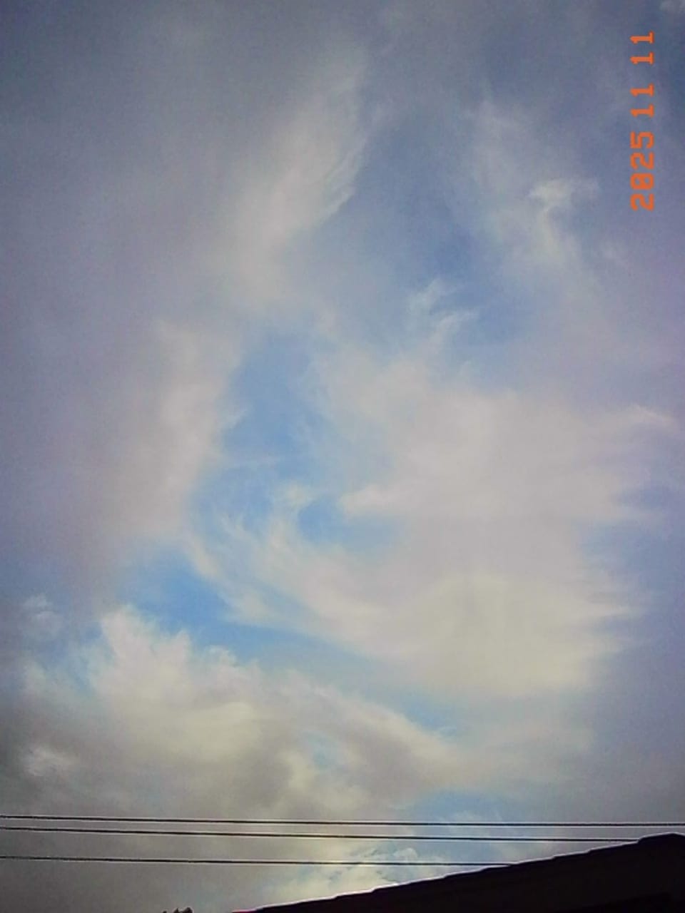 picture a day: nov 11